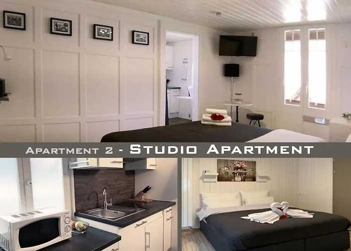 마리아 아파트 인터라켄